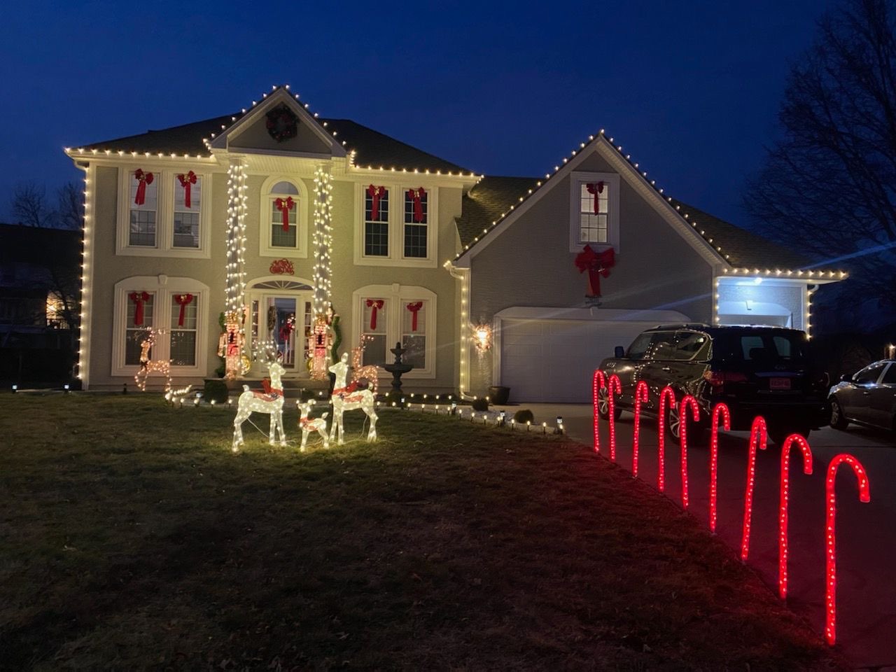 Holiday light display installed by Lentz Lighting