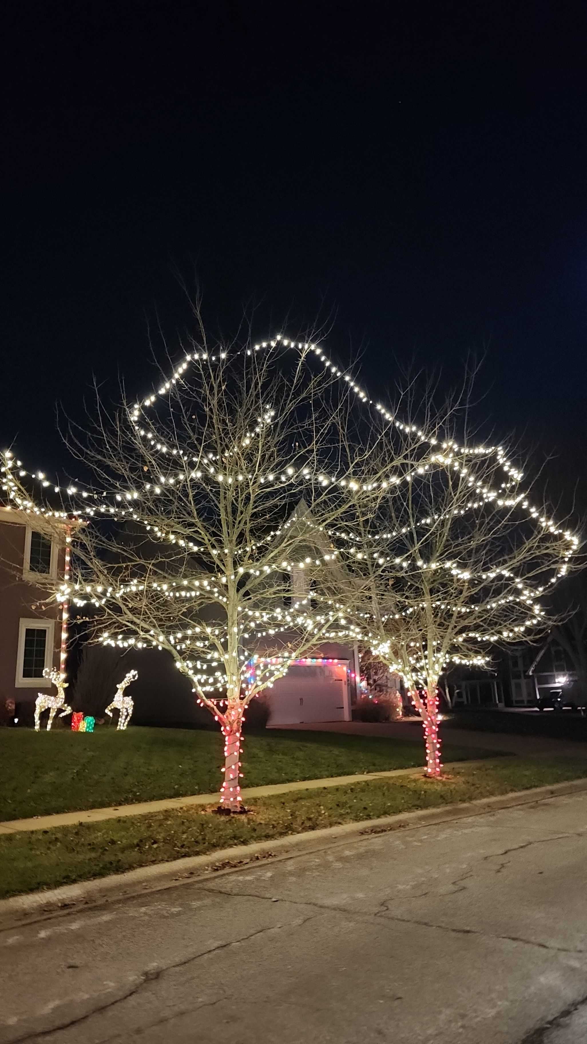 Holiday light display installed by Lentz Lighting